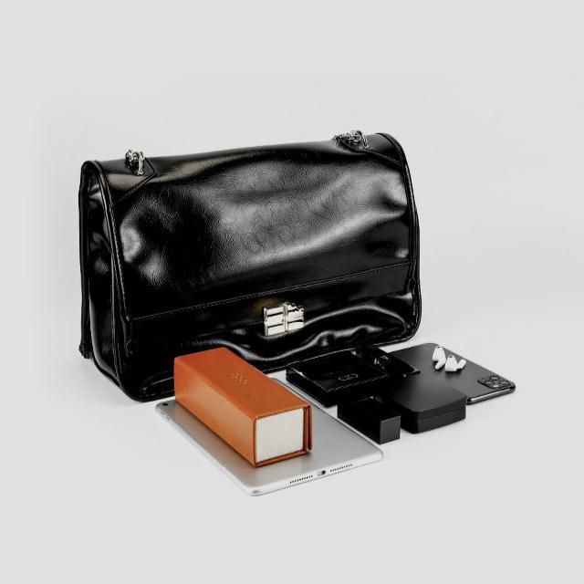 Career Companion Briefcase